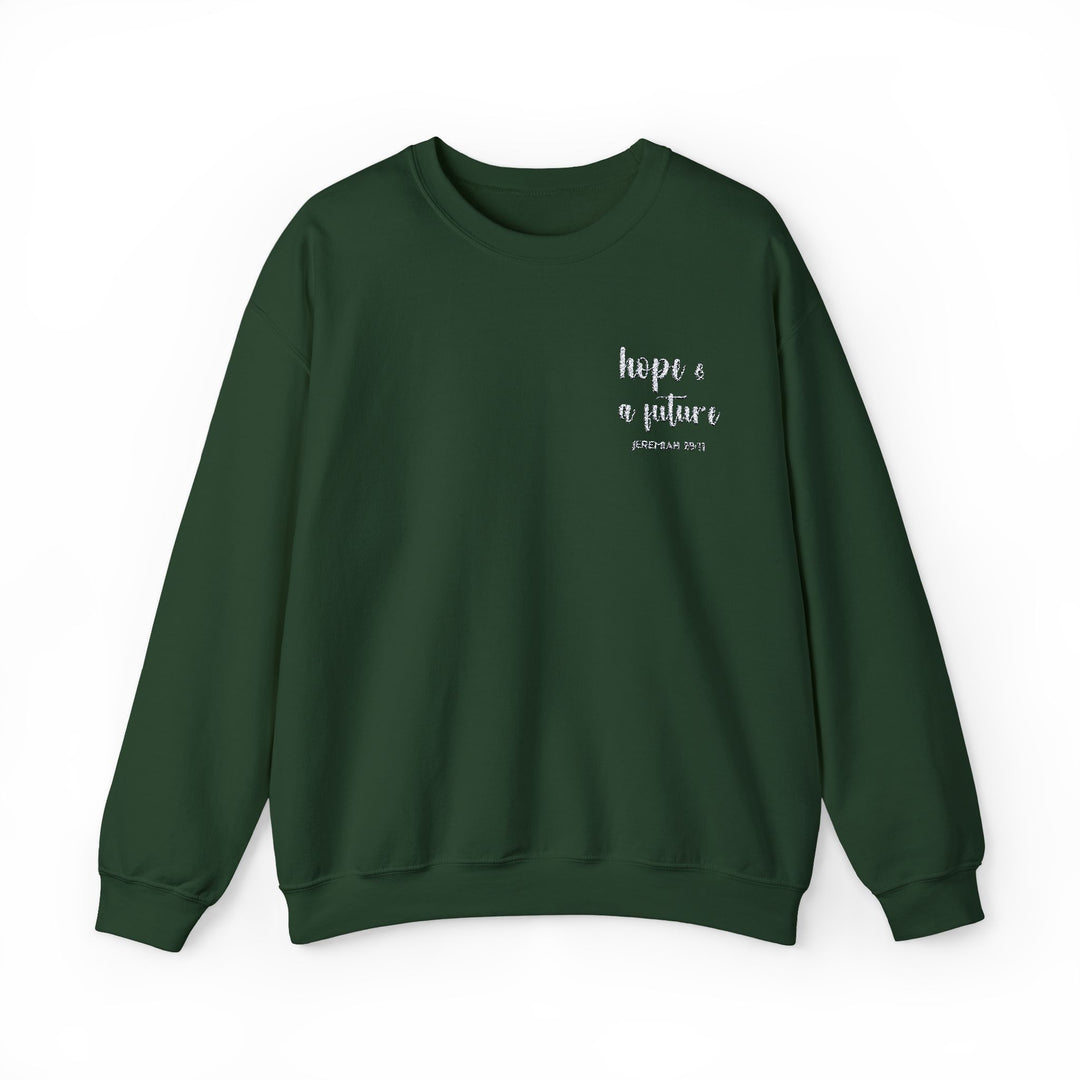 [Embroidered] Hope & A Future - Jeremiah 29:11 - Unisex Crew-Neck Sweatshirt